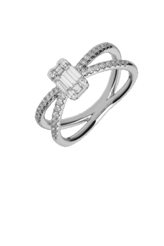 Crivelli  035-VR26204/64362210