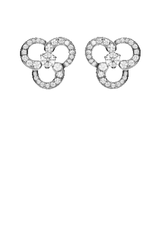 Crivelli  117-OR854/54511857