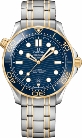 Omega Seamaster 21020422003001
