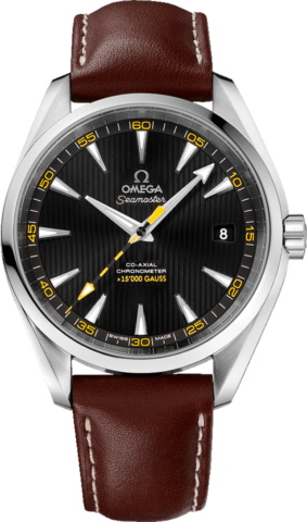 Omega Seamaster Aqua Terra 23112422101001