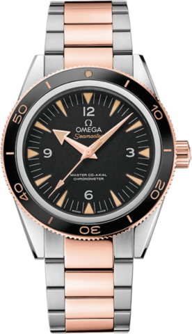 Omega Seamaster 23320412101001