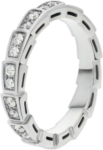 Bvlgari Serpenti Viper 349741/59ZARC