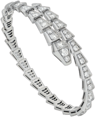 Bvlgari Serpenti Viper 351846