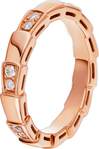 Bvlgari Serpenti Viper 353271/TY817E