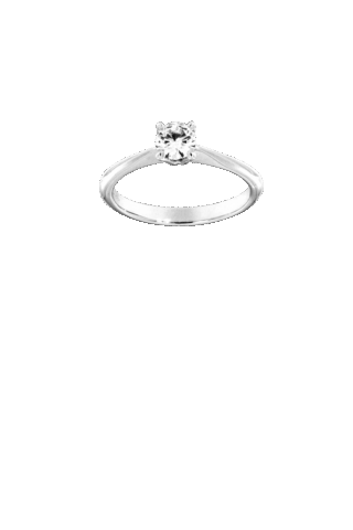 Crivelli  (372-3391-4714-L/24079120)