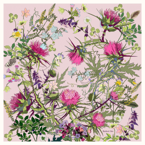 Radical Chic Шотландская роза 550152.07.02