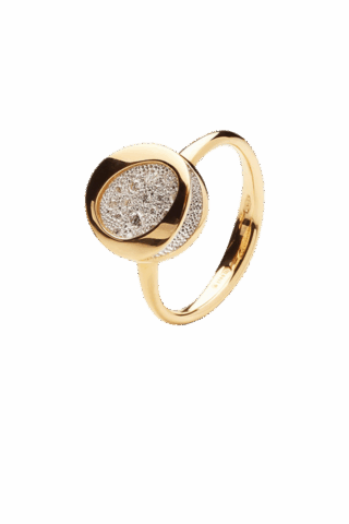 Antonini Atolli Collection A0171G1