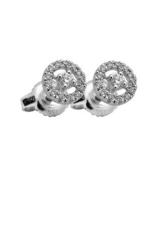 Crivelli  370-XE2234/43365216