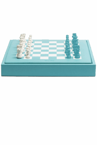Hector&Saxe Шахматы Chess box Buffalo Bluebettle