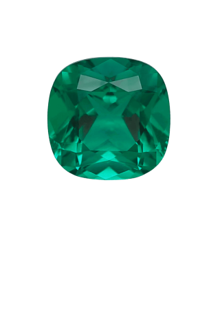 DV lab  784688396