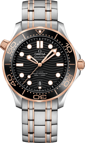 Omega Seamaster 21020422001001