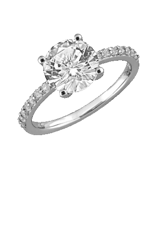 Da Vinci Diamonds Forever Collection RI002 RI369-DIW24055