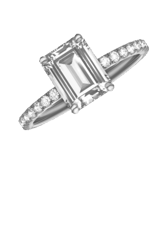 Da Vinci Diamonds Forever Collection RI003 RI369-DIW24056