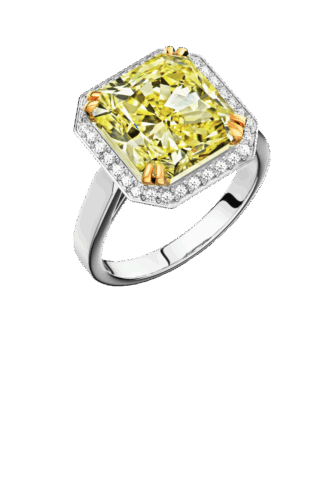 Da Vinci Chic Collection RI369-DIW24065