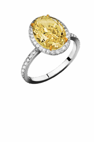 Da Vinci Chic Collection RI369-DIW24066