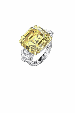 Da Vinci Chic Collection RI369DFDWY001