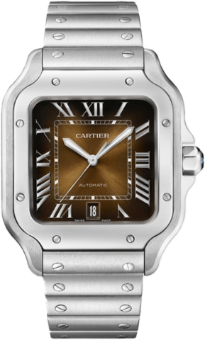 Cartier Santos de Cartier WSSA0064