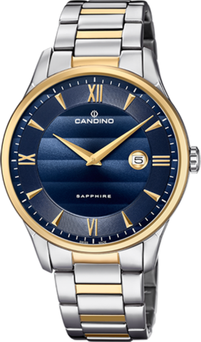 Наручные часы Candino Gents Classic Timeless C4639/3